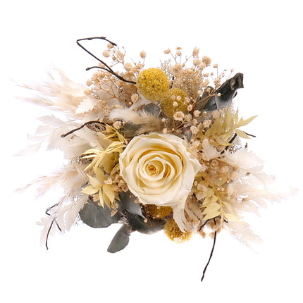 03100609_in-eterno-cierny-box-kremova-preparovana-ruza