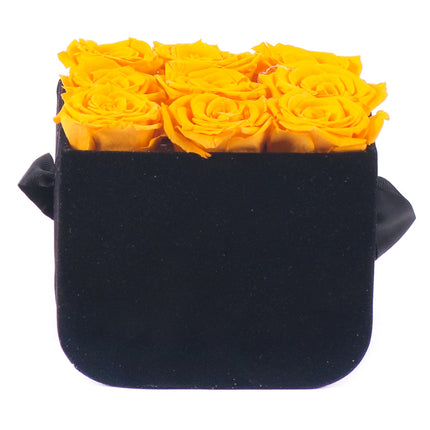 03100624_in-eterno-cierny-zamatovy-box-s-9-zltych-ruzi