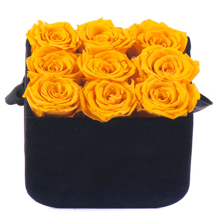 03100624_in-eterno-cierny-zamatovy-box-s-9-zltych-ruzi