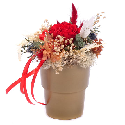 03100693_in-eterno-keramicky-box-cervena-ruza-monalisa-red