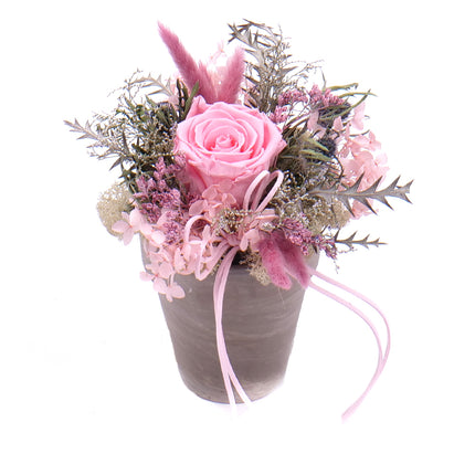 03100694_in-eterno-keramicky-box-ruzova-ruza-monalisa-baby-pink