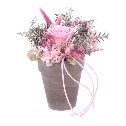 03100694_in-eterno-keramicky-box-ruzova-ruza-monalisa-baby-pink