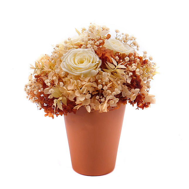 03100697_in-eterno-keramicky-box-tri-ruze-monalisa-pastel-yellow