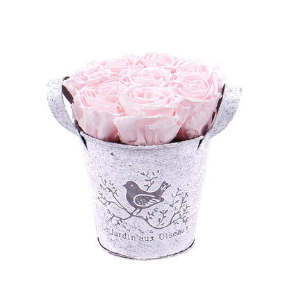 03100755_in-eterno-plechovy-box-7-ruzi-pink-champagne