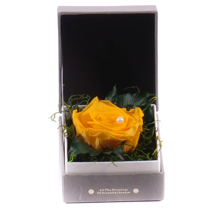 03100848_in-eterno-sedy-stvorec-for-you-zlta-ruza