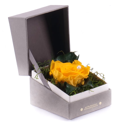 03100848_in-eterno-sedy-stvorec-for-you-zlta-ruza