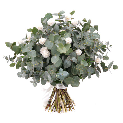 03101203_kytica-eukalyptus-in-eterno-biela-scabiosa