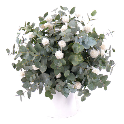 03101203_kytica-eukalyptus-in-eterno-biela-scabiosa