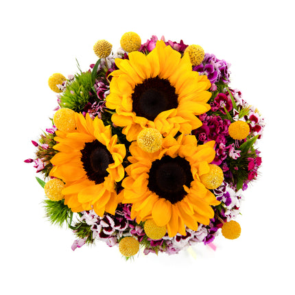 03101209_kytica-letana-29