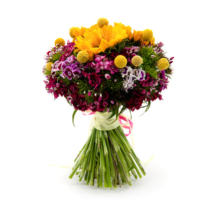 03101209_kytica-letana-29