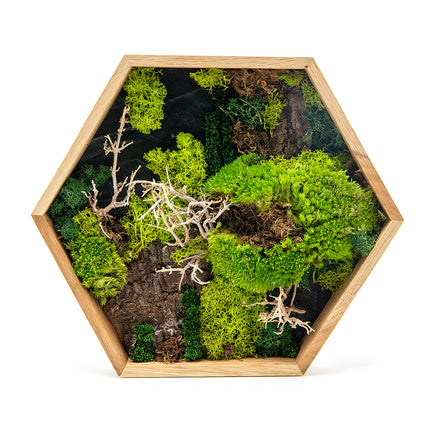 03101236_machovy-preparovany-obraz-sestuholnik-maly