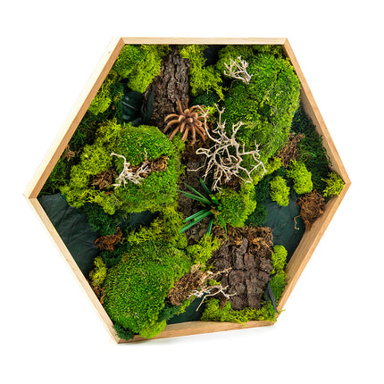 03101237_machovy-preparovany-obraz-sestuholnik-stredny