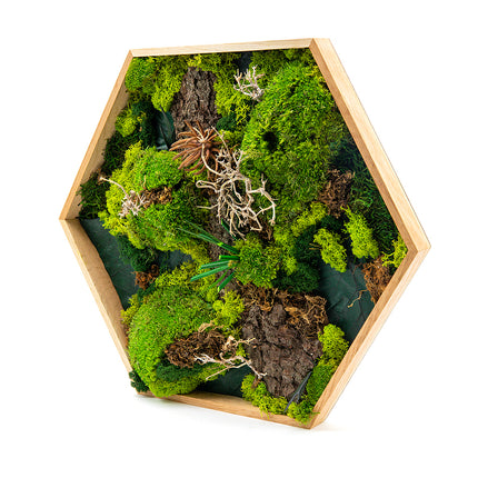 03101237_machovy-preparovany-obraz-sestuholnik-stredny