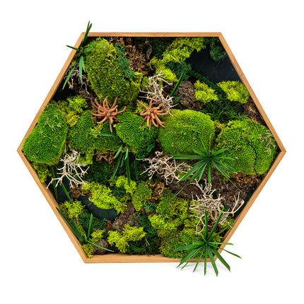 03101238_machovy-preparovany-obraz-sestuholnik-velky