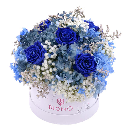 03101530_in-eterno-biely-blomo-box-m-monalisa-sapphire-blue-gypsophila-a-hortenzia