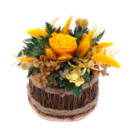 03101542_in-eterno-prutena-misa-zlta-preparovana-ruza-hortenzia-a-craspedia