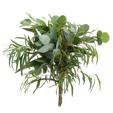 04500038_eucalyptus-roz-mix-zvazok-rez