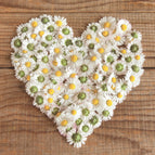 Venovanie Srdce z margarétok