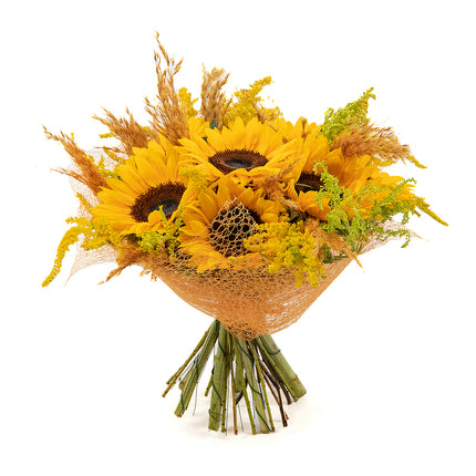 Kytica Letana 21 slnečnice