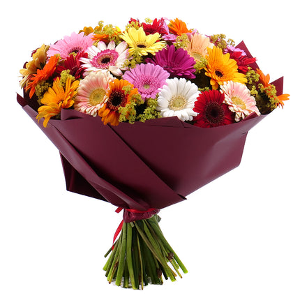 Kytica Letana 26 farebné minigerbery