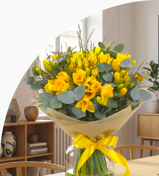 <h5>Žlté<br/>narcisy</h5>