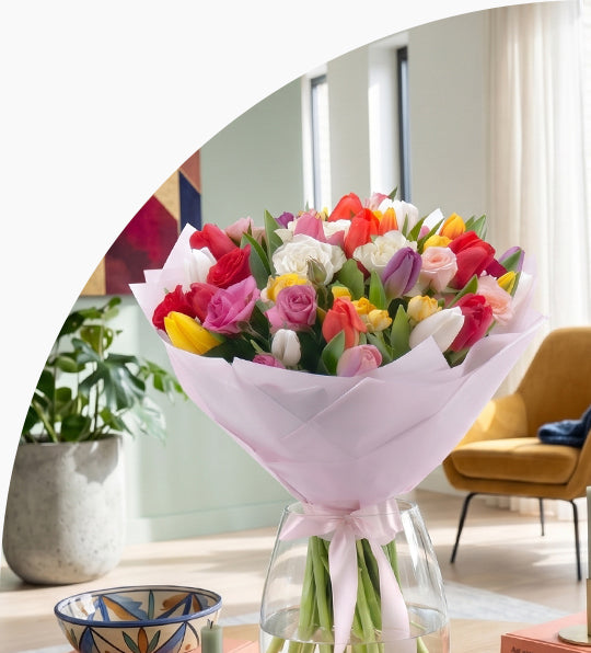 <h5>Farebné<br/>tulipány</h5>