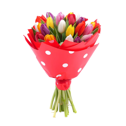 Sweet farebné tulipány pure 25