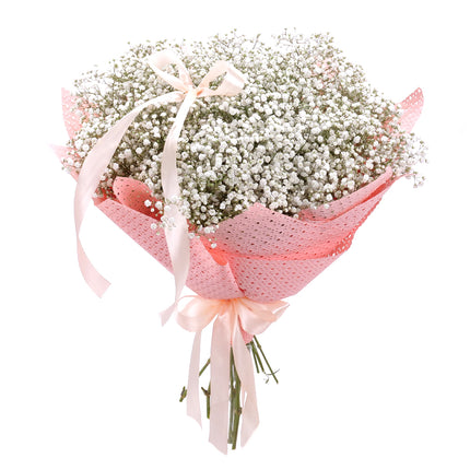 Nature Kytica gypsophila biela