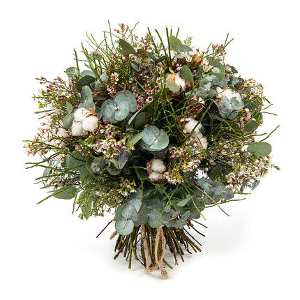 Kytica eukalyptus, wax a bavlna