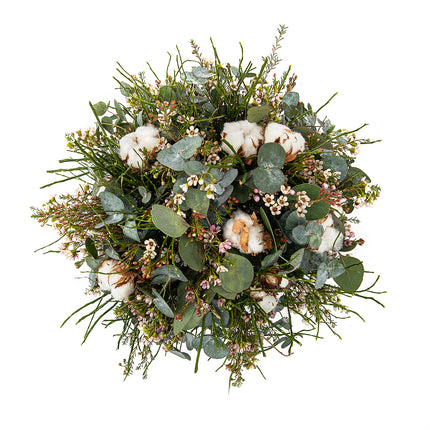 Kytica eukalyptus, wax a bavlna