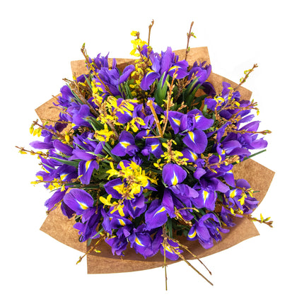 Jarona 23 irisy,zlatý dážď