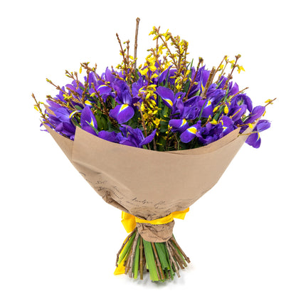 Jarona 23 irisy,zlatý dážď