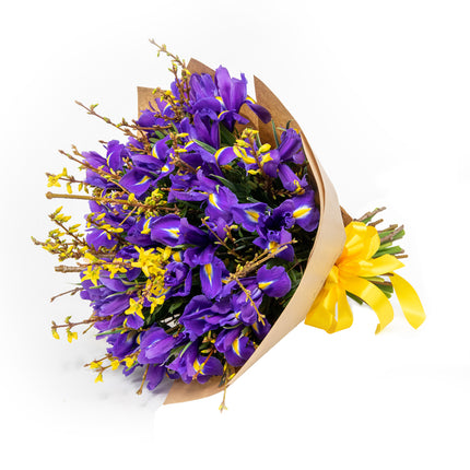 Jarona 23 irisy,zlatý dážď