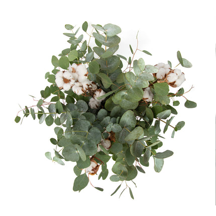 Kytica eukalyptus a bavlna