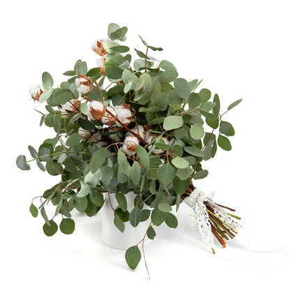 Kytica eukalyptus a bavlna