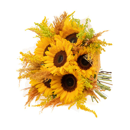 Kytica Letana 21 slnečnice