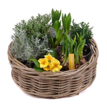 Darčekový jarný set 11