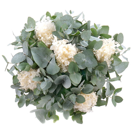 Kytica eukalyptus In eterno biela hortenzia