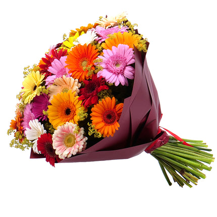 Kytica Letana 26 farebné minigerbery