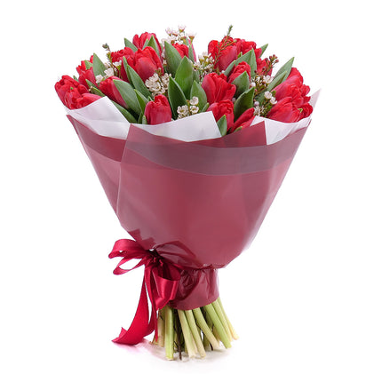 Jarona 2 červené tulipány,waxflover