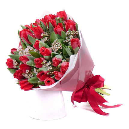 Jarona 2 červené tulipány,waxflover