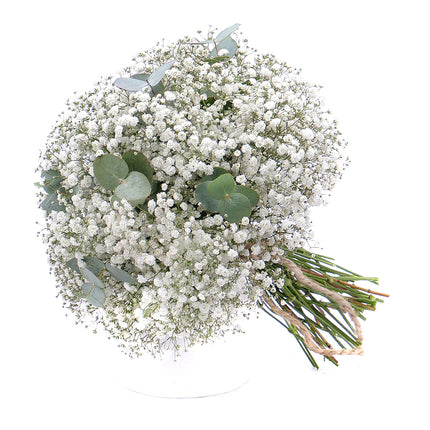 Kytica gypsophila a eukalyptus