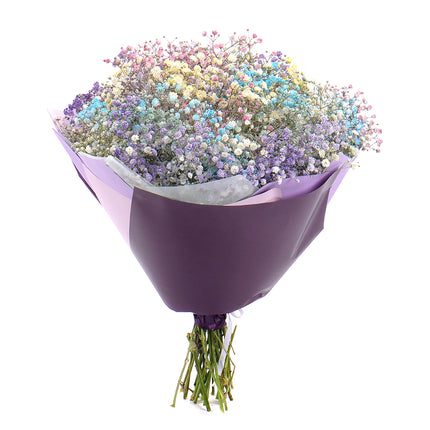 Kytica farebná gypsophila