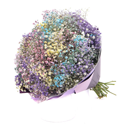 Kytica farebná gypsophila