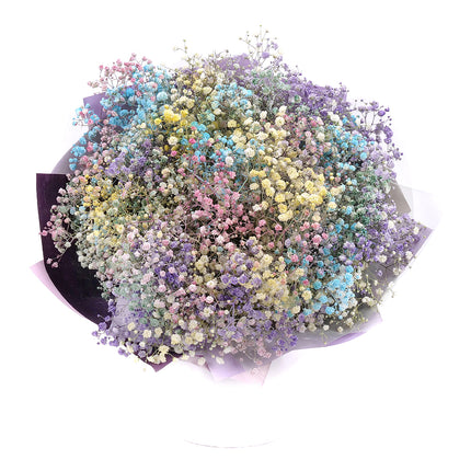 Kytica farebná gypsophila