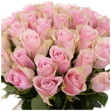 Kytica ružové ruže Pink Atena