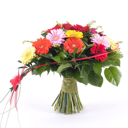 Szív színes apró gerberák