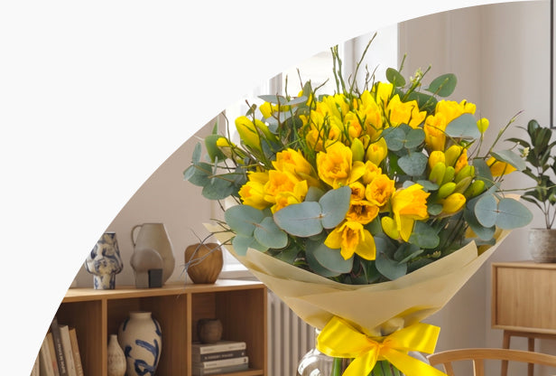 <h5>Žlté<br/>narcisy</h5>