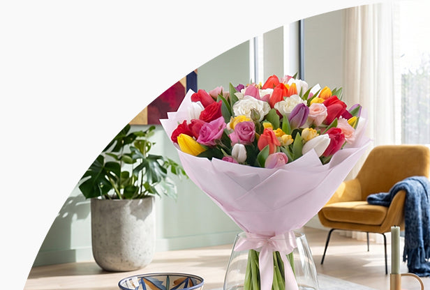 <h5>Farebné<br/>tulipány</h5>