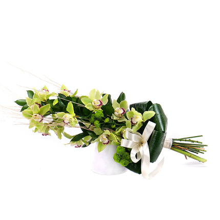 Orchidea zelená na vysoko